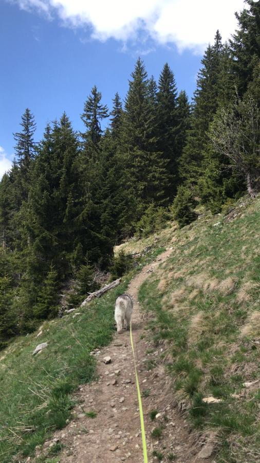 Ferienwohnung Uf Z'Enisch Klosters Εξωτερικό φωτογραφία